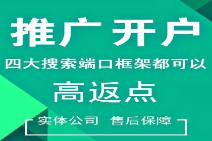 竞价广告的投放技巧与网络推广的实践